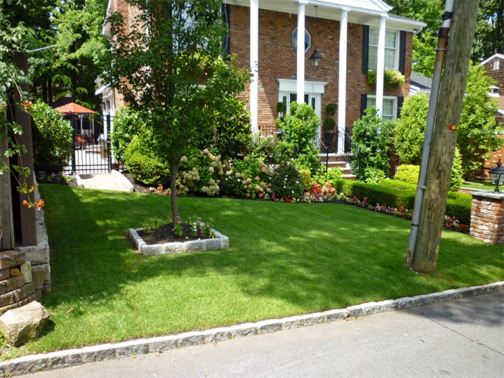 Fake Lawn Guadalupe, California Roof Top, Landscaping Ideas For Front Yard