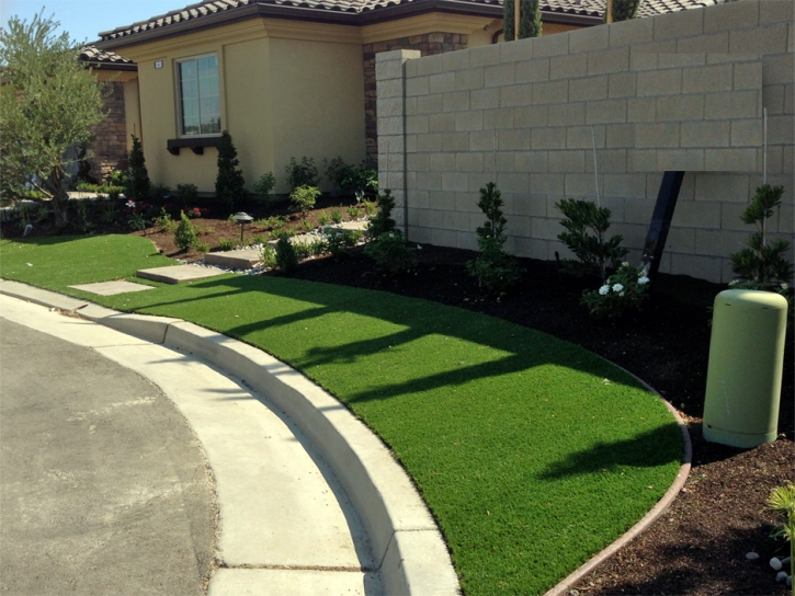 Fake Lawn Lompoc, California Landscaping Business, Front Yard Landscape Ideas