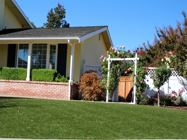 Fake Lawn Los Alamos, California Lawn And Garden, Small Front Yard Landscaping