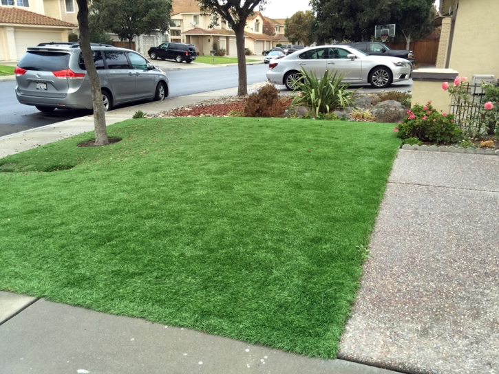 Fake Lawn Manhattan Beach, California Lawn And Garden, Front Yard