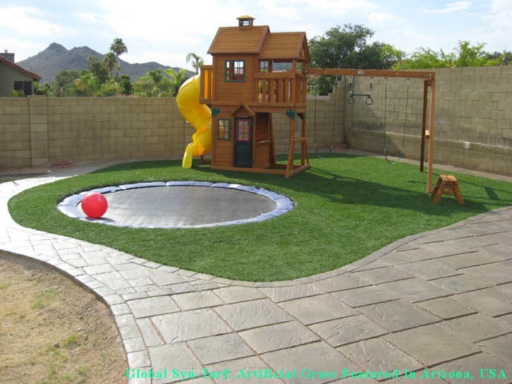 Fake Lawn Summerland, California Garden Ideas, Backyard