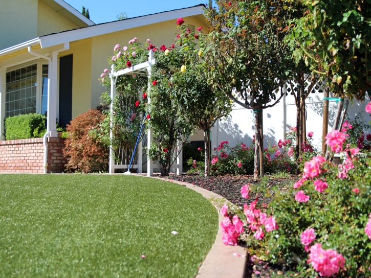 Fake Turf Belvedere, California Landscaping Business, Front Yard