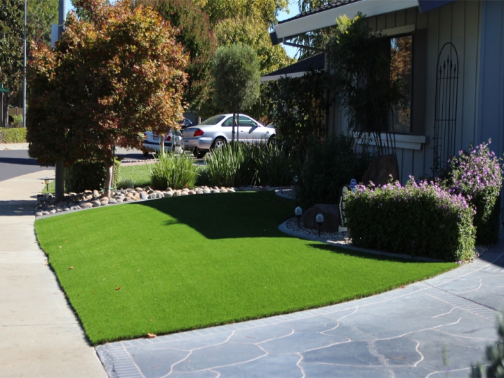 Fake Turf East Pasadena, California Home And Garden, Front Yard