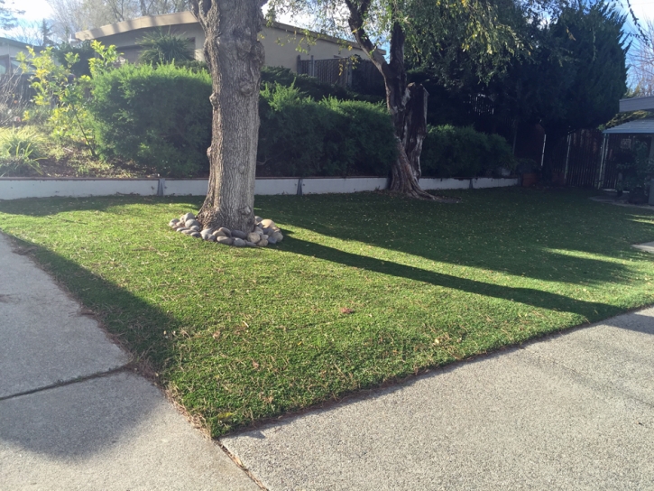 Fake Turf Greenfield, California City Landscape, Front Yard Ideas