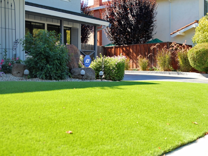 Fake Turf Sierra Madre, California City Landscape, Front Yard Landscape Ideas