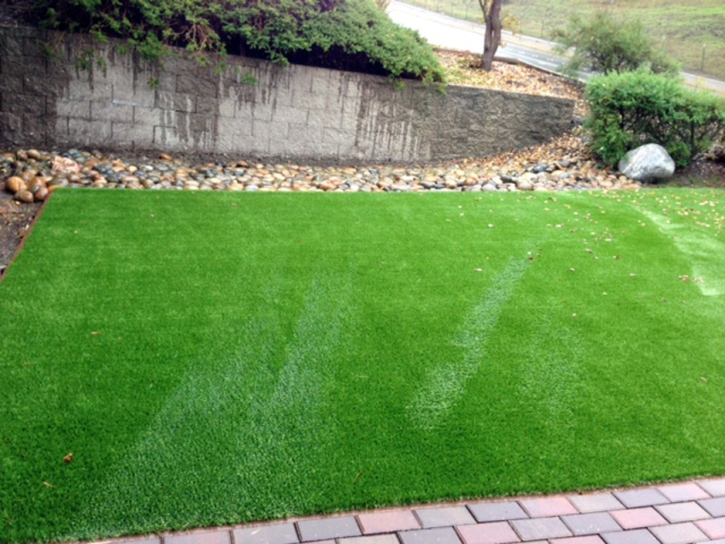 Fake Turf Summerland, California Landscape Ideas, Small Front Yard Landscaping