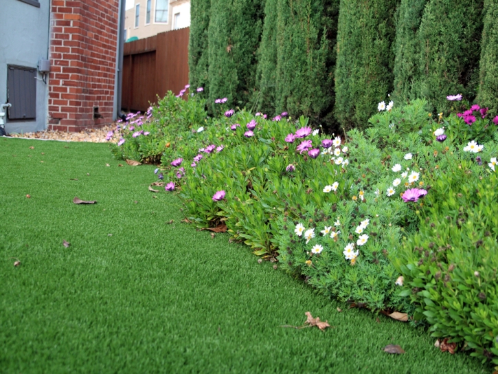 Fake Turf Walnut Park, California Home And Garden, Front Yard Landscaping Ideas