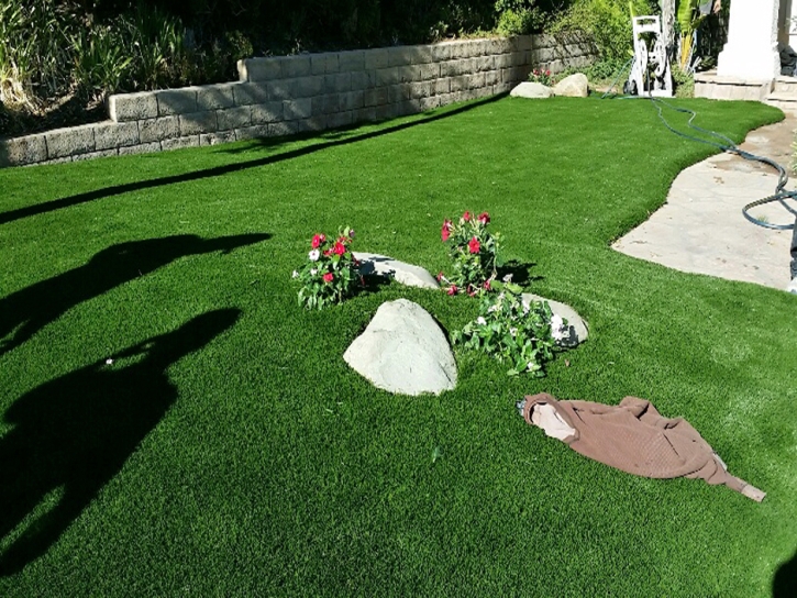 Faux Grass Acton, California Garden Ideas, Small Front Yard Landscaping