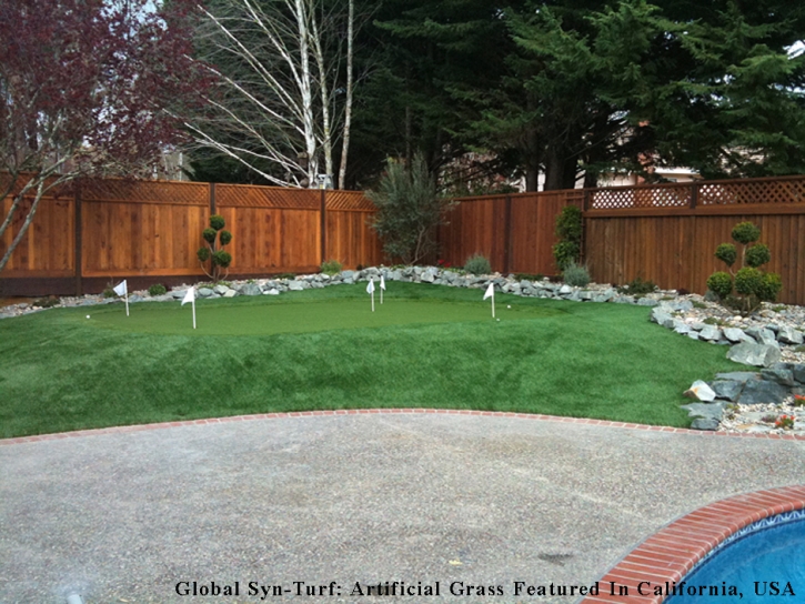 Faux Grass Carpinteria, California Putting Green, Backyard Designs