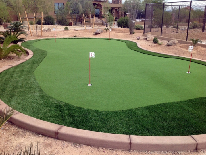 Faux Grass Castaic, California Artificial Putting Greens, Backyard Landscaping