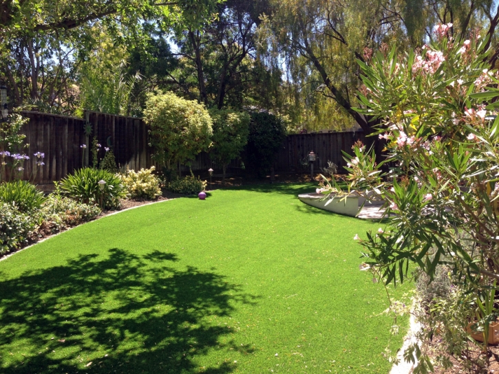 Faux Grass Gardena, California Landscape Ideas, Backyard Makeover