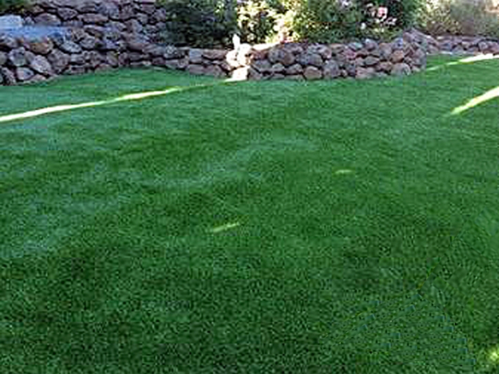 Faux Grass Isla Vista, California Home And Garden, Backyard Landscape Ideas