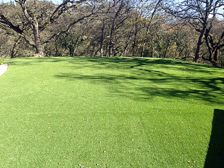 Faux Grass Lancaster, California Backyard Playground, Parks