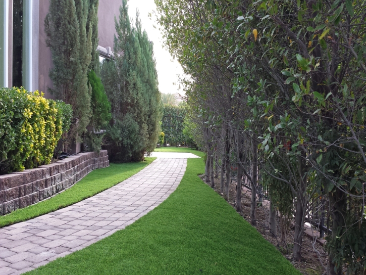 Faux Grass Montclair, California Landscape Ideas, Front Yard Landscaping Ideas