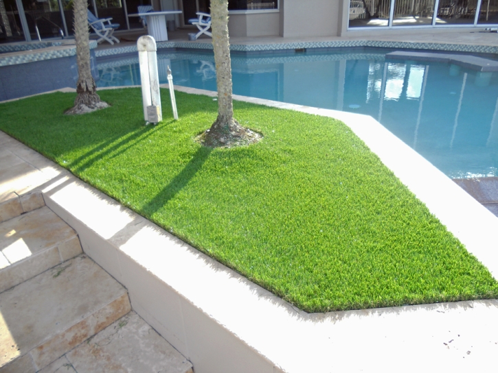 Faux Grass San Fernando, California Home And Garden, Pool Designs