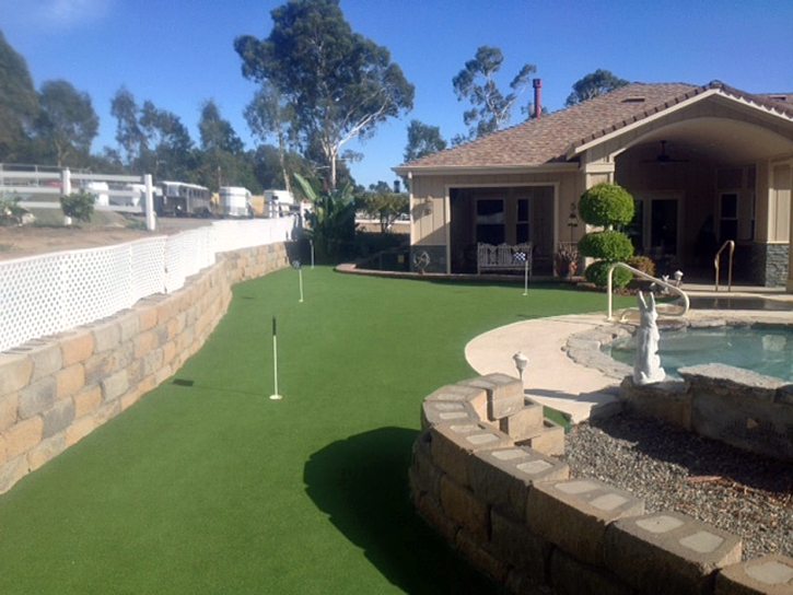 Faux Grass San Joaquin Hills, California Putting Greens, Small Backyard Ideas