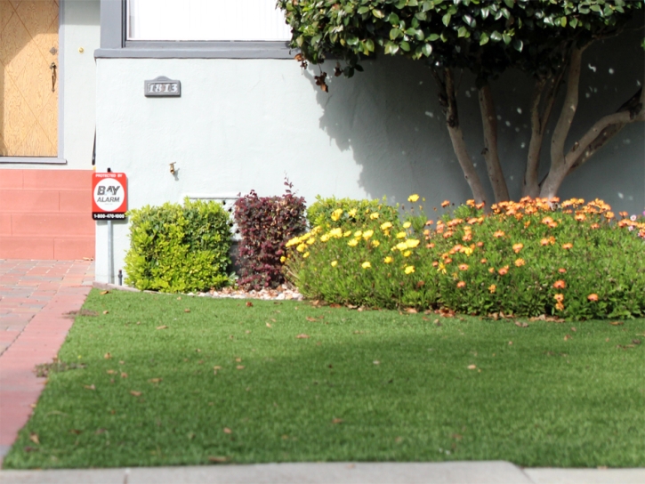 Faux Grass Santa Monica, California Lawn And Landscape, Front Yard Landscaping