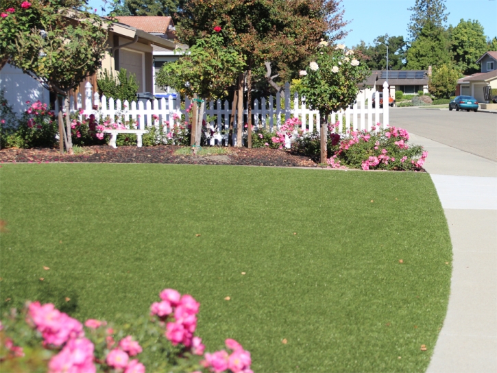 Faux Grass Tupman, California Gardeners, Landscaping Ideas For Front Yard