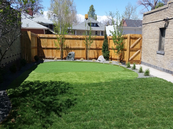 Faux Grass West Rancho Dominguez, California Lawns, Backyard