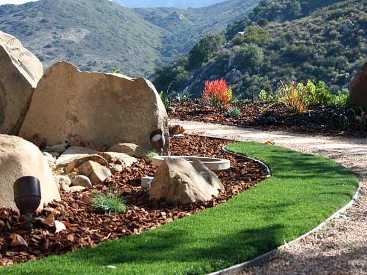 Grass Carpet Cudahy, California Gardeners, Front Yard Landscaping Ideas