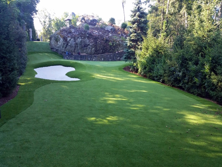 Grass Carpet East Los Angeles, California Indoor Putting Greens, Commercial Landscape