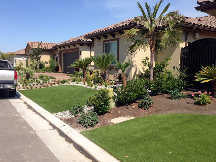 Grass Carpet Edmundson Acres, California Garden Ideas, Front Yard Landscaping