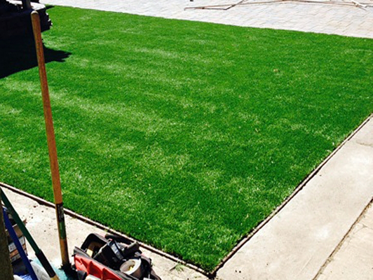 Grass Carpet El Segundo, California Lawn And Garden