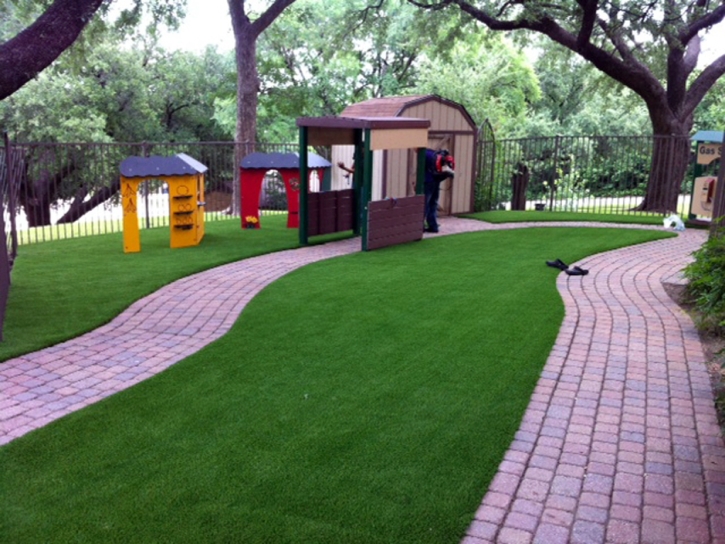 Grass Carpet Fellows, California City Landscape, Commercial Landscape