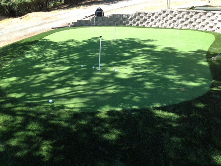 Grass Carpet Frazier Park, California Putting Green Turf, Backyard Makeover