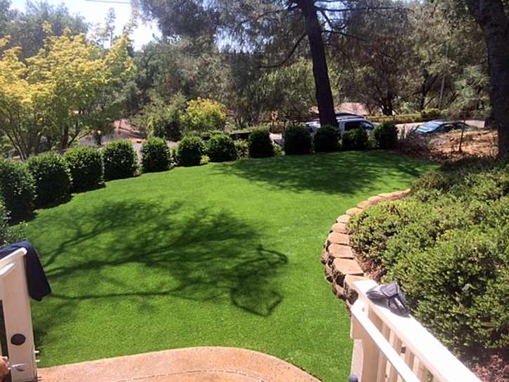 Grass Carpet La Verne, California Landscape Photos, Backyard Designs