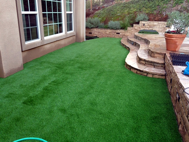 Grass Carpet Long Beach, California Lawn And Garden, Backyard Design