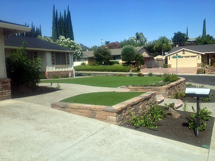 Grass Carpet Mojave, California Gardeners, Front Yard Ideas