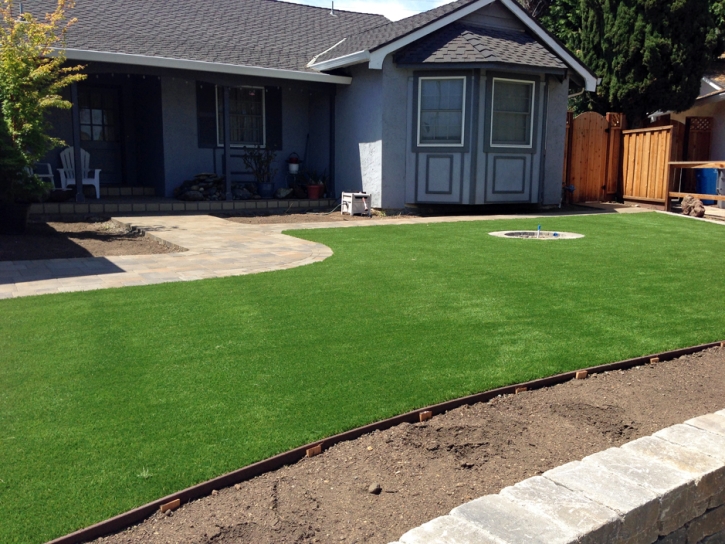 Grass Carpet San Pedro, California Backyard Playground, Front Yard