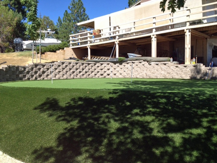 Grass Carpet Santa Maria, California Roof Top, Backyard