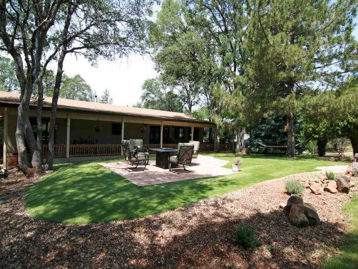 Grass Carpet West Hollywood, California Lawn And Garden, Backyard