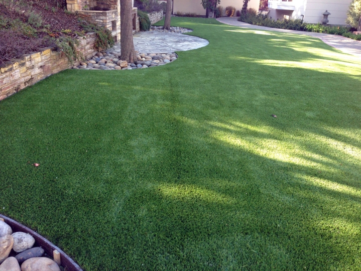 Grass Installation Cherokee Strip, California Cat Playground, Backyard Landscaping