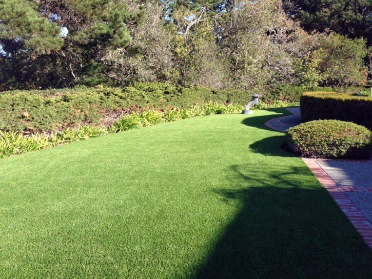 Grass Installation La Puente, California Backyard Playground, Small Front Yard Landscaping