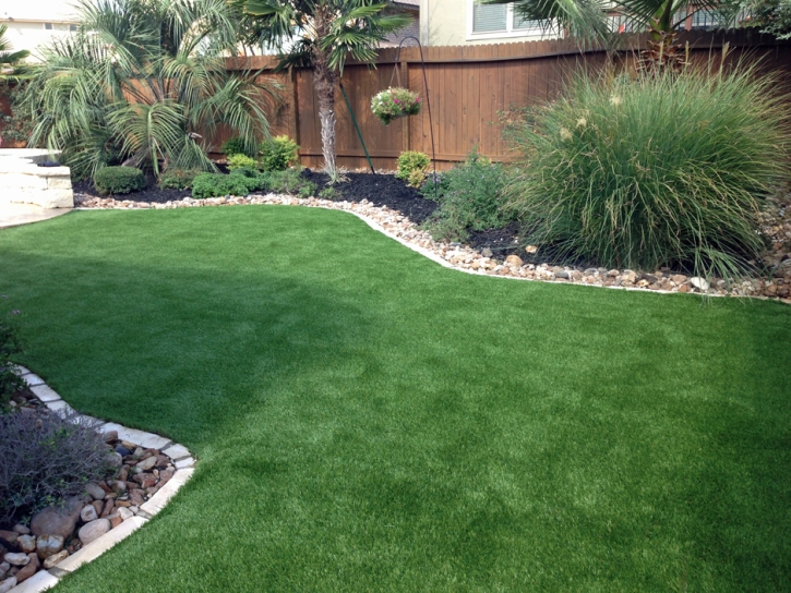 Grass Turf Agoura, California Cat Grass, Backyard Designs