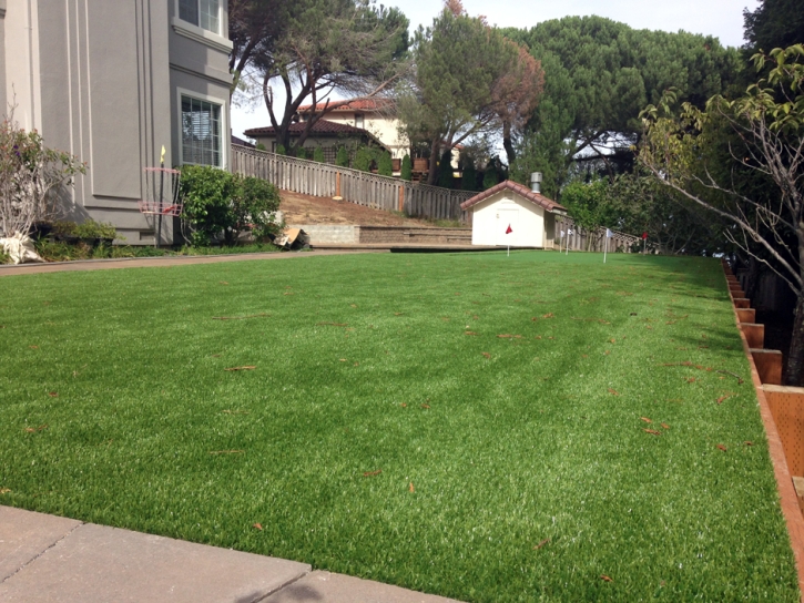 Grass Turf Arvin, California Lawn And Landscape, Backyard Ideas