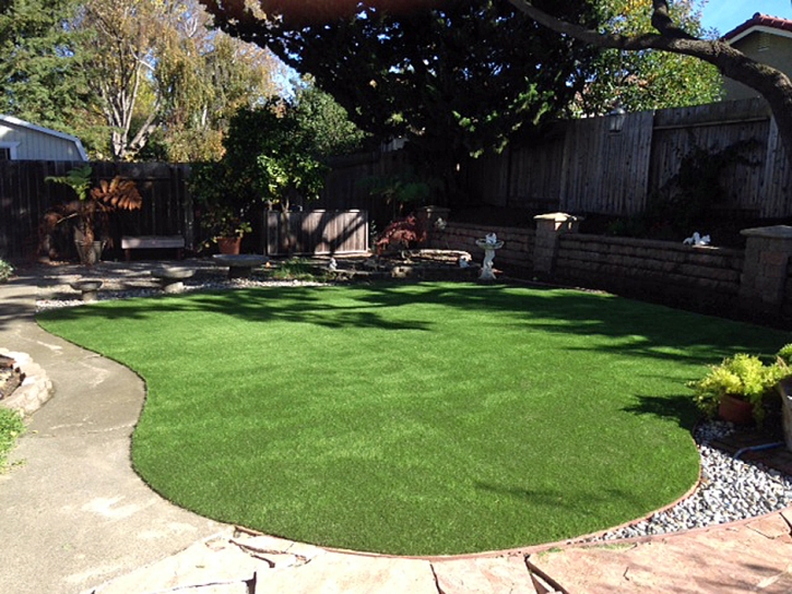 Grass Turf Bellflower, California Lawn And Garden, Backyard Garden Ideas