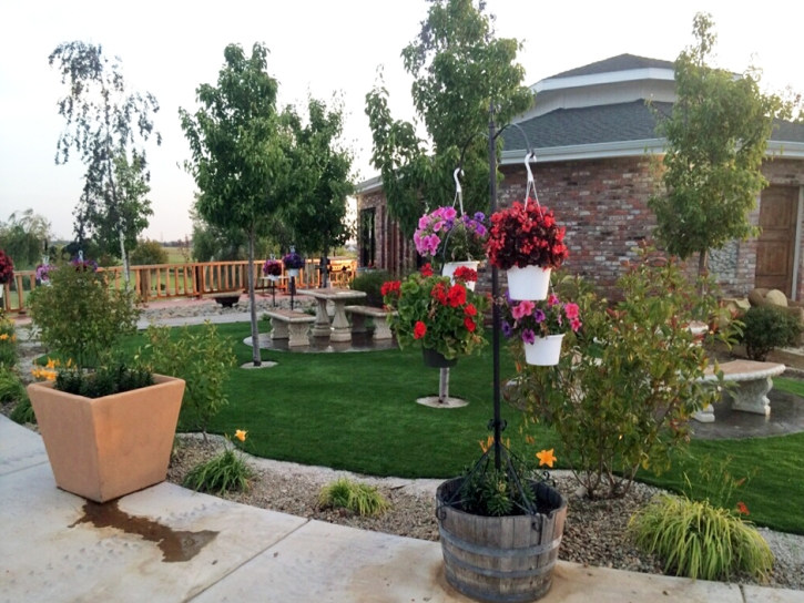 Grass Turf Burbank, California Garden Ideas, Commercial Landscape