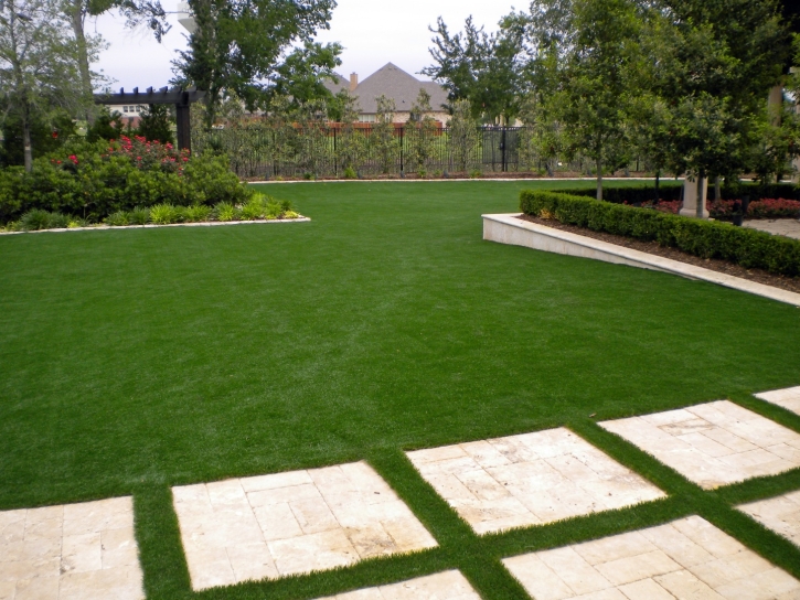 Grass Turf Lebec, California Landscape Ideas, Backyard Designs