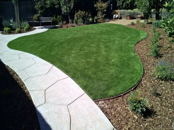 Grass Turf Newport Beach, California Roof Top, Front Yard Landscaping