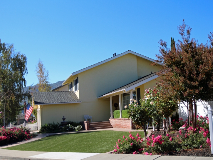 Grass Turf Pine Mountain Club, California Home And Garden, Front Yard Design