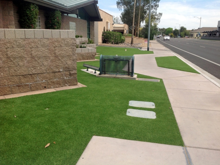 Grass Turf South El Monte, California City Landscape, Front Yard Ideas