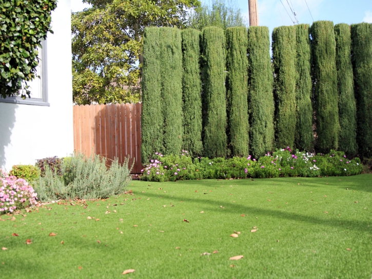 Grass Turf Taft, California Roof Top, Small Front Yard Landscaping