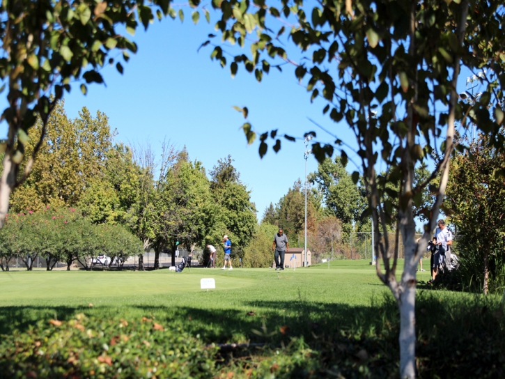 Grass Turf West Carson, California Best Indoor Putting Green