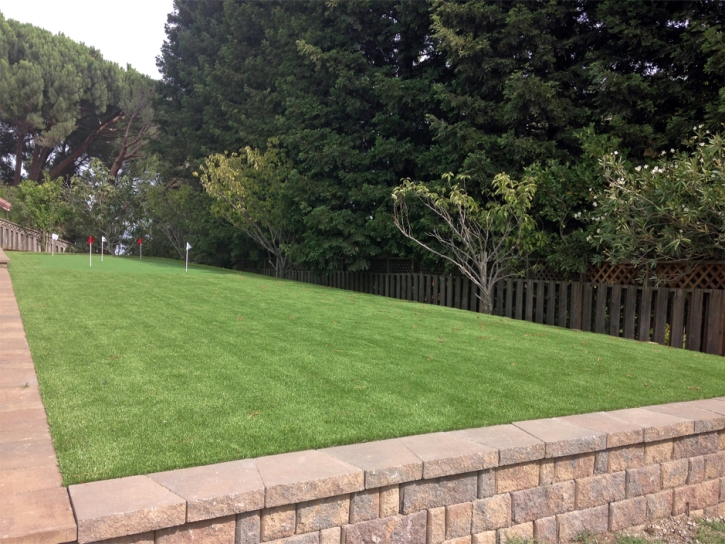 Green Lawn Bellflower, California How To Build A Putting Green, Small Backyard Ideas