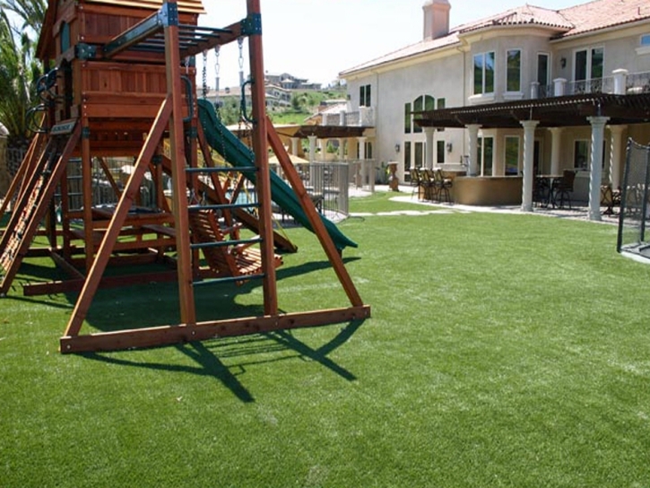 Green Lawn Lomita, California Roof Top, Backyard Garden Ideas