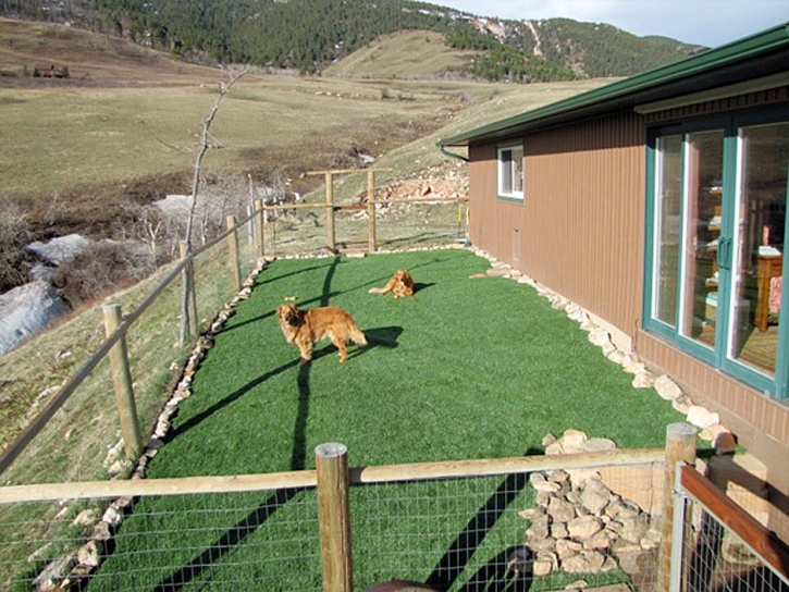 Green Lawn Mettler, California Artificial Grass For Dogs, Backyard Design